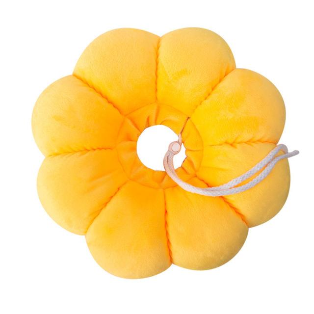 21260561834_1341909279.640x640