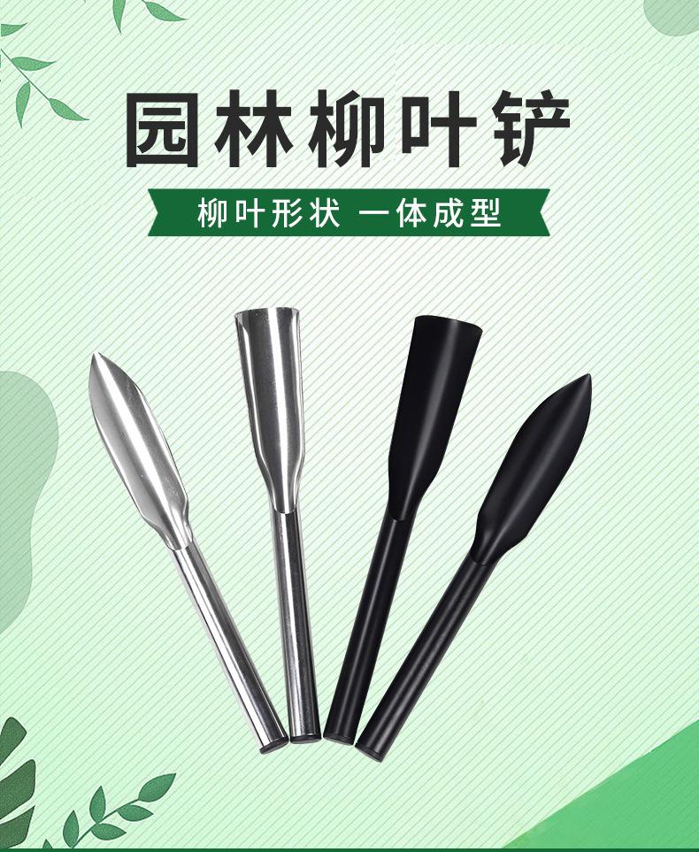 详情_01.jpg