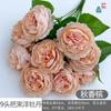 9 Manija de cabeza viga peonía extranjera rosa brasileña nueva pastoral boda belleza flor de seda base salón de bodas coreano flor artificial