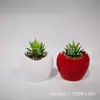 Artesanato Exportação Casa Mini Planta Suculenta Bonsai Planta em Vaso, Bem-vindo às Amostras! Cerâmica