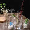 Jarrón para Plantas Hidropónicas Maceta de Vidrio Borosilicato Jarrón de Flores Artístico Botella Paisaje de Musgo Jarrón de Vidrio Recto