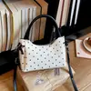 Outono 2026 Nova Bolsa de Dumpling Portátil Feminina Moda Tendência Bolsa de Mão para o Trabalho Versátil Bolsa Transversal Bolsa Feminina Atacado