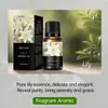 Transfronterizo 15 Tipos de Aceites Esenciales de Aromaterapia Solubles en Agua Mejisoo para Ambientar el Aire Interior, Aceites Esenciales de Plantas para Aromaterapia sin Llama