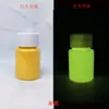 Pintura Luminosa Pintada a Mano Arte Pintura Acrílica Pintura Brillante Resplandeciente Polvo Luminoso Fluorescente Recubrimiento Set