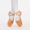 Zapatos de baile para niños zapatos de yoga zapatos de ballet zapatos de práctica de baile para adultos zapatos de garra de gato forrados de felpa suela blanda venta al por mayor de fábrica