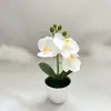 Mini Planta Artificial de Orquídea Phalaenopsis en Maceta con 3 Flores para Fotografía, Accesorios de Plantas Verdes, Decoración para Sala de Estar en Casa, Planta Artificial de Plástico en Maceta