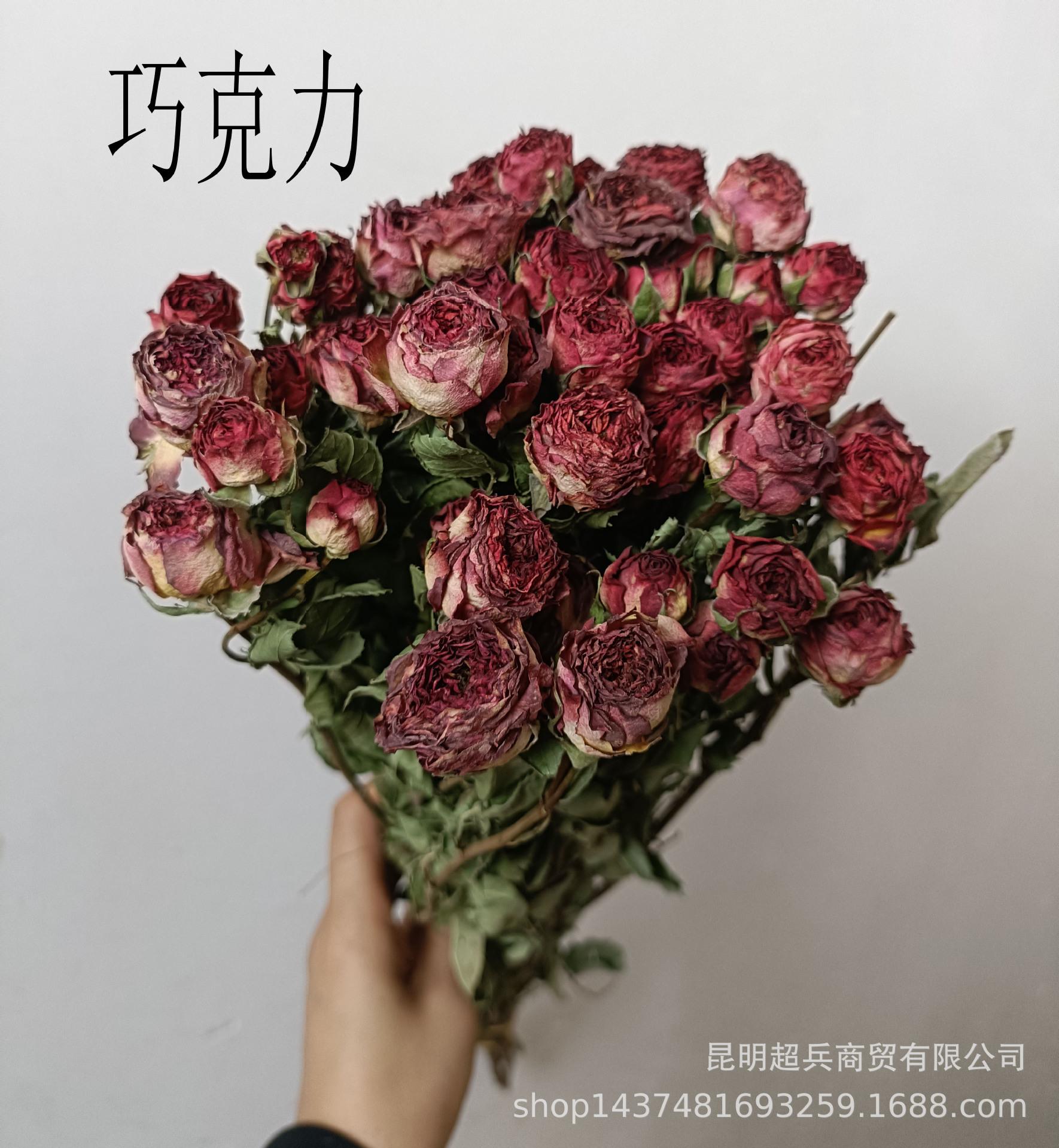 IMG20230727135322.jpg