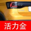 5. Pintura de retoque blanca especial para SAIC Volkswagen Lavida, Passat, Tiguan y Polo - una solución para reparar rayones