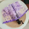 Guarda-chuva Transparente com Design de Gato Branco, Totalmente Automático, Estilo Anime, Manual, Fofo, Alto Valor Estético, Dobrável, para Influenciadoras Femininas, Crianças, Desenhos Animados, Estudantes