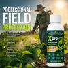 Solução KineShineX para Proteção e Cuidado de Fungos em Plantas Agrícolas: Absorção e Transmissão Sistêmicas, Combinando Prevenção e Cuidado