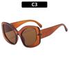 Nuevas gafas de sol elegantes ojo de gato para mujer transfronterizas Europa y Estados Unidos ins populares gafas de sol de moda gafas de sol avanzadas con protección solar