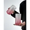 Vaso de Agua para el Hogar de Vidrio Esmerilado Sentido del Diseño Gradiente Polvo Taza de Café Diseño de Nicho Whisky Sentido Premium Vaso de Cerveza