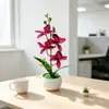 Venta Caliente Transfronteriza Cuatro Orquídeas Phalaenopsis Flor Artificial Planta en Maceta Flor Artificial Creativa Bonsái Planta Verde para el Hogar Adorno Decoración Suministros