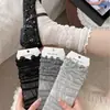 Novedades Primavera y Verano Calcetines de Tarta Finos Transpirables Minimalistas Estilo Coreano Sin Costuras Calcetines de Encaje Color Sólido Estilo Ballet Hasta la Pantorrilla Calcetines para Mujer