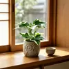 Planta Artificial de Bonsái Verde con Forma de Búho de 4 Ramas, Modelo Nuevo Transfronterizo para Bar y Cafetería, Decoración Única de Planta Falsa en Maceta