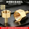 Adaptador de Conexión Rápida con Rosca Interna de Latón con Enchufe Recto para Manguera de Gas Natural, Gas de Carbón y Agua, Conector de Junta de Bambú Flexible