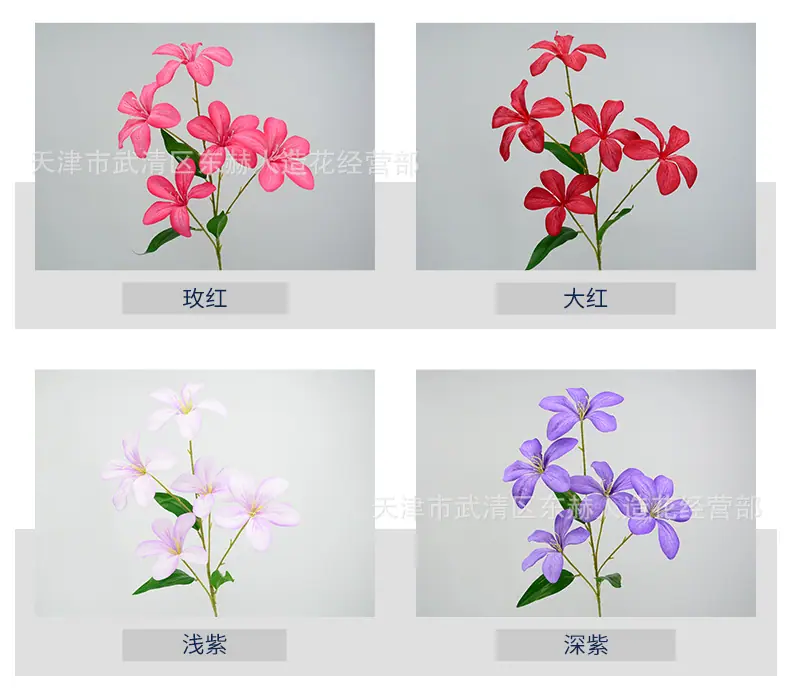 详情_03.jpg