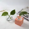 Jarrón de vidrio estilo japonés decoración del hogar gato escritorio planta verde jarrón hidropónico micro-paisaje creativo mini lindo