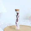 Tubo de Ensaio Flor Seca Flor Eterna Gipsofila Rosa Planta Espécime Decoração Dia dos Professores Natal Presente para Namorada