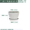 Entrega Direta da Fábrica Vaso de Flores Grande Espessado Resina Cimento Imitação Ave do Paraíso Escandinavo Árvore da Felicidade Simples Planta Verde Planta em Vaso para Interior