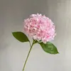 Alta simulación gran hortensia profundidad múltiples colores para hacer pared de propuesta más realista verano sin fin hortensia impresión 3D