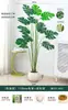 Planta Verde Monstera Bambu Simulação Nórdica Planta Grande Biónica em Vaso Planta Falsa Decoração de Sala de Estar Interna Ornamento de Chão Árvore