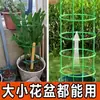 Soporte para flores para interiores, soporte doméstico, tipo universal, soporte para orquídeas pata de cangrejo, soporte para hojas de loto, soporte para plantas en maceta de jardinería, Zhao Zhi Sun