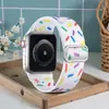 Nueva Correa Elástica de Bucle Tejido de Alta Calidad del Fabricante para Apple Iwatc10/9/8/7 Adecuada para Serie Se Elasticidad
