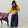 Suéter de punto con capucha tipo chal coreano, suéter casual otoño e invierno estilo old money coreano, venta al por mayor de fábrica transfronteriza