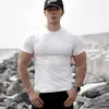 Camiseta Masculina Casual Esportiva de Manga Curta Verão Cor Lisa Toque Gelado Versátil Muscular Gola Redonda Secagem Rápida Respirável Roupas Fitness