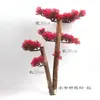 Decoração de Prato de Sashimi, Tiras de Bambu, Cerca de Bambu, Prato para Churrasco de Restaurante Japonês, Decoração de Prato, Decorações de Prato Estilo Japonês