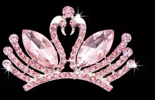 9016978706_1637384191