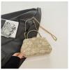 Bolso de Mujer Simple de Moda 2025 Primavera Nuevo Estilo Bolso de Noche Atmosférico Estilo Hada Bolso Fresco Bolso de Mano para Fiesta de Cena