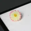 Flor Margarida Pequena 4cm Cabeça Flor DIY Flor de Seda Adorno de Cabeça Grampo de Cabelo Acessórios de Flor Adereços de Fotografia Flores Artificiais Fabricante de Flores Artificiais Atacado