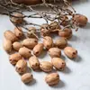 Calabaza Naranja Pequeña, Fruto de Planta de Calabaza Pequeña, Accesorios Hechos a Mano para Manualidades, Materiales de Decoración con Flores Secas, Estilo Bosque Vintage
