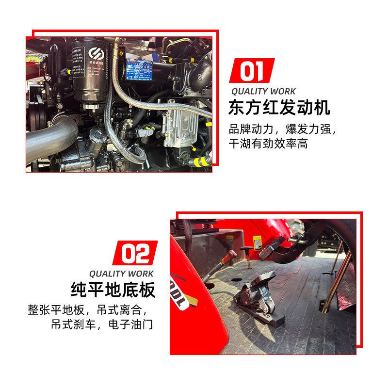 万年红504
