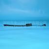 En stock línea de sensor de filtro de suministro 87801007 New Holland 87802203 enchufe de tres cables