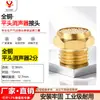 Tapón Hexagonal, Silenciador de Plástico, Cobre Cónico Largo Acero Inoxidable 304 Silenciador de Válvula Solenoide Neumática 1/8