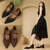 Zapatos Mary Jane Retro Estilo Francés Estampado de Leopardo Punta Fina para Mujer 2026 Otoño Tacón Grueso Correa Única Planos Bajos Versátiles Zapatos de Cuero