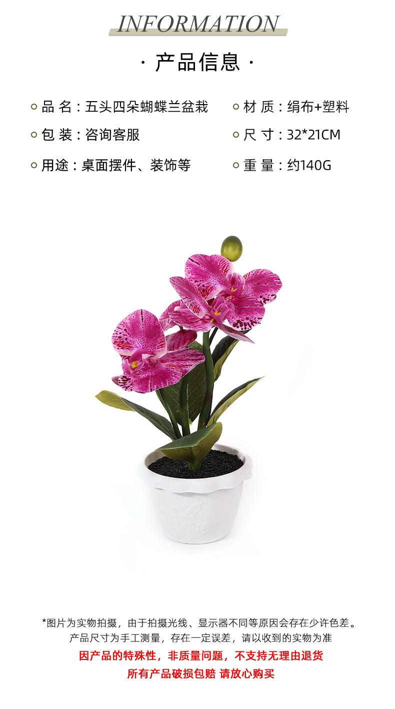 保侬详情_04.jpg