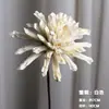 Flor de Loto Flor de Loto Flor de Loto Paquete de Flores Secas Hecho a Mano Nenúfares Zen Decoración de Planta Natural Decoración de Sala de Buda Decoración de Sala de Estar