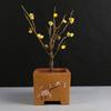 Ciruelo en Maceta Interior Perfumado Ciruelo de Invierno Bonsái Ciruelo Rojo Pila Vieja Balcón Patio Plantas Resistentes al Frío Fáciles de Cultivar