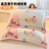 Funda de Almohada de Terciopelo de Leche Engrosada 48X74cm Paquete Doble Invierno para Niños y Adultos Funda Interior para Almohada Individual del Hogar