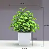 Punto Nuevo Bonsái Plantas de Decoración para el Hogar Pequeños Adornos Flores Artificiales Plantas Verdes Plantas en Maceta Flores Artificiales Fábrica Venta al Por Mayor