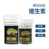 Hagen Reptile Tortoise Lizard Contiene D3 Calcium Powder Vitamina para mascotas Reptile Leopard Gecko No contiene D3