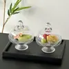 Cuenco de Fruta de Cristal con Pie Alto Cuenco de Fruta de Alta Apariencia Plato para la Hora del Té Plato de Postre Cuenco para Sopa Dulce Cuenco para Postre Plato Creativo