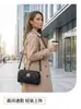 Bolsa Pequeña con Acabado de Alta Gama, Lujo Ligero, de Nicho, Portátil, Adecuada para el Trabajo, Bolso Cruzado para Teléfono con Correa al Hombro, Mini Bolso de Mano Versátil para Mujer