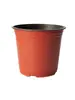 Macetas de Dos Colores, Macetas para Plantar y Plántulas, Recipientes Nutritivos, Macetas de Plástico Grueso Desechables para Jardinería de Plantas Verdes, Macetas para Suculentas para Cultivo