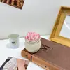 Ramo de Flores Tejidas de Mano, Planta en Maceta Regalo de San Valentín Decoración, Ramo de Plantas en Maceta, Regalo de Compra Grupal para Empresa, Exhibición Creativa en Puesto