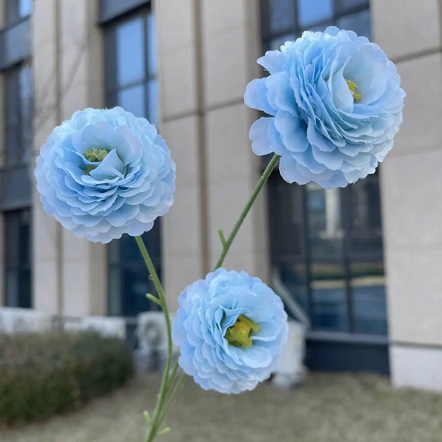 3头特慧丁香花-天蓝.JPG